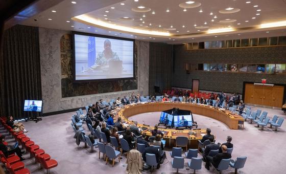 联合国秘书长利比亚问题特别代表兼联合国利比亚支助团团长汉娜·塞瓦·泰特向安理会会议通报该国局势。(资料图片）